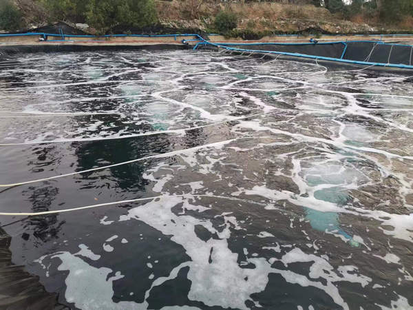 海南外塘案例展示