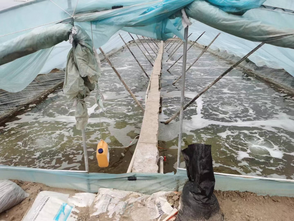 江苏某厂家工程案例